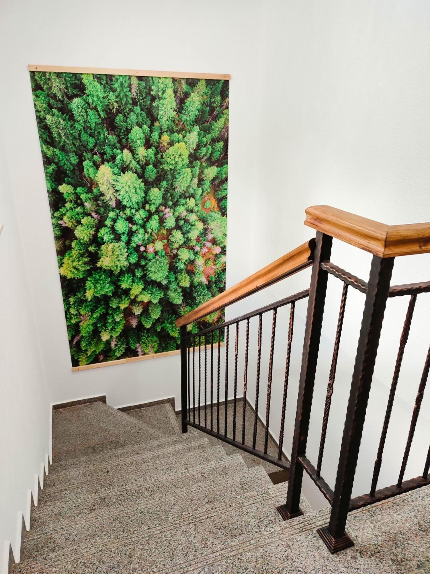 Villa Tangra Grashtitsa Exteriér fotografie